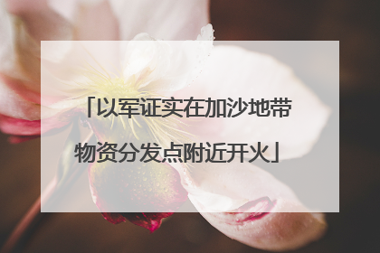 以军证实在加沙地带物资分发点附近开火