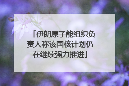 伊朗原子能组织负责人称该国核计划仍在继续强力推进