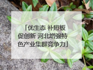 优生态 补短板 促创新 河北增强特色产业集群竞争力