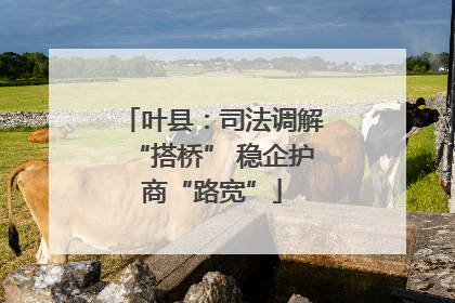 叶县：司法调解“搭桥” 稳企护商“路宽”