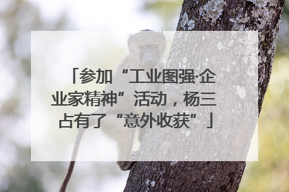 参加“工业图强·企业家精神”活动，杨三占有了“意外收获”