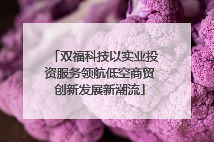 双福科技以实业投资服务领航低空商贸创新发展新潮流