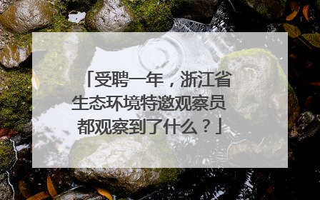 受聘一年，浙江省生态环境特邀观察员都观察到了什么？