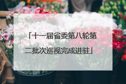 十一届省委第八轮第二批次巡视完成进驻