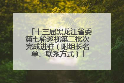 十三届黑龙江省委第七轮巡视第二批次完成进驻（附组长名单、联系方式）