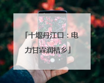 十堰丹江口：电力甘霖润桔乡