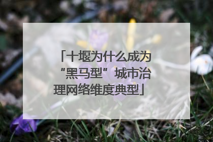 十堰为什么成为“黑马型”城市治理网络维度典型