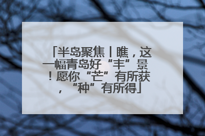 半岛聚焦丨瞧，这一幅青岛好“丰”景！愿你“芒”有所获，“种”有所得