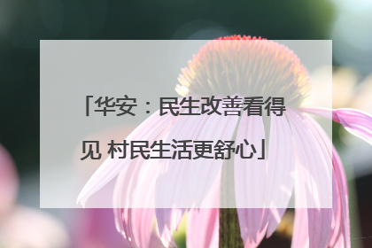 华安：民生改善看得见 村民生活更舒心