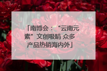 南博会：“云南元素”文创吸睛 众多产品热销海内外