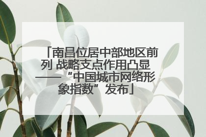 南昌位居中部地区前列 战略支点作用凸显——“中国城市网络形象指数”发布