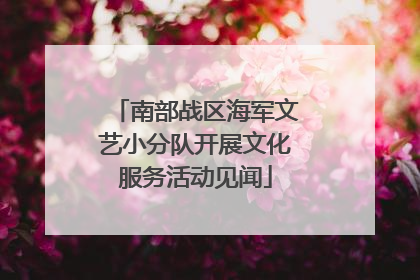 南部战区海军文艺小分队开展文化服务活动见闻