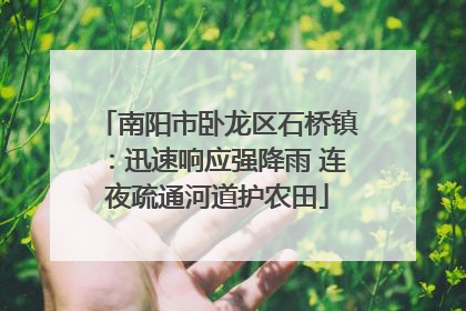 南阳市卧龙区石桥镇：迅速响应强降雨 连夜疏通河道护农田