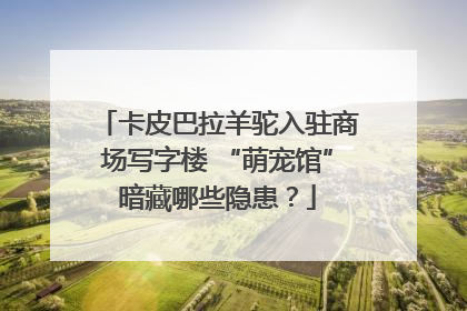 卡皮巴拉羊驼入驻商场写字楼 “萌宠馆”暗藏哪些隐患？