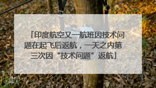 印度航空又一航班因技术问题在起飞后返航，一天之内第三次因“技术问题”返航
