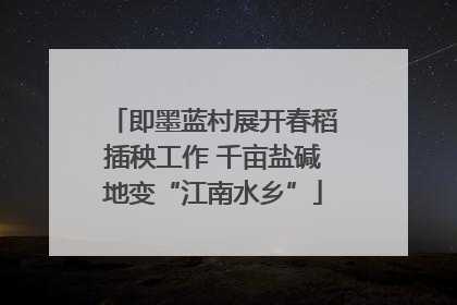 即墨蓝村展开春稻插秧工作 千亩盐碱地变“江南水乡”