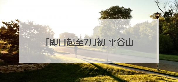 即日起至7月初 平谷山东庄镇桑葚采摘季开启