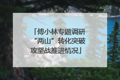 傅小林专题调研“两山”转化突破攻坚战推进情况