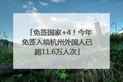 免签国家+4！今年免签入境杭州外国人已超11.6万人次