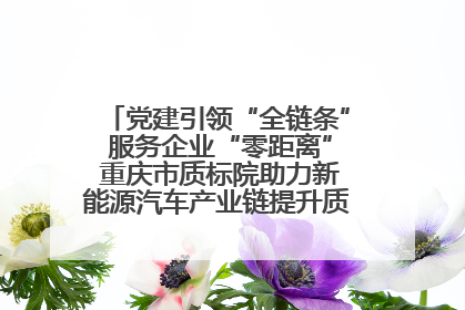 党建引领“全链条” 服务企业“零距离” 重庆市质标院助力新能源汽车产业链提升质量管理水平