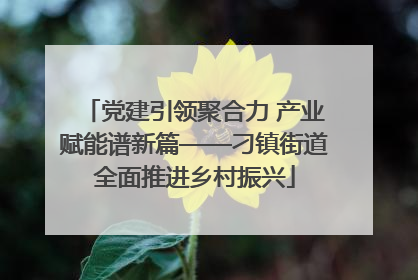 党建引领聚合力 产业赋能谱新篇——刁镇街道全面推进乡村振兴