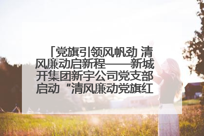 党旗引领风帆劲 清风廉动启新程——新城开集团新宇公司党支部启动“清风廉动党旗红”系列活动