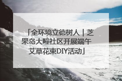 全环境立德树人｜芝罘岛大疃社区开展端午艾草花束DIY活动