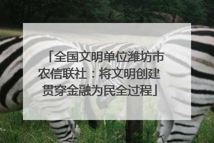 全国文明单位潍坊市农信联社：将文明创建贯穿金融为民全过程