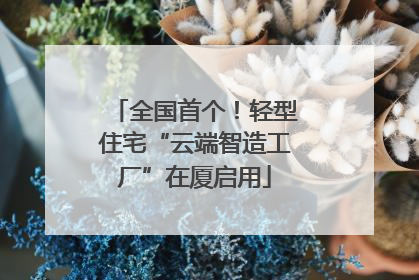 全国首个！轻型住宅“云端智造工厂”在厦启用