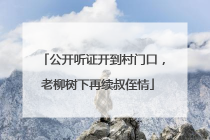 公开听证开到村门口，老柳树下再续叔侄情