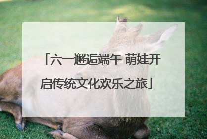 六一邂逅端午 萌娃开启传统文化欢乐之旅
