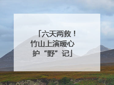 六天两救！竹山上演暖心护“野”记