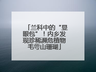 兰科中的“显眼包”！内乡发现珍稀濒危植物毛萼山珊瑚