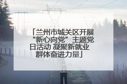 兰州市城关区开展“新心向党”主题党日活动 凝聚新就业群体奋进力量