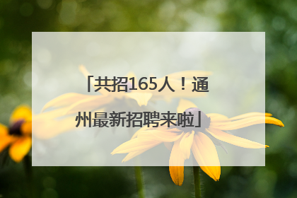 共招165人！通州最新招聘来啦