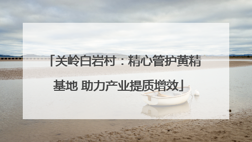 关岭白岩村：精心管护黄精基地 助力产业提质增效