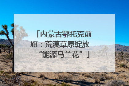 内蒙古鄂托克前旗：荒漠草原绽放“能源马兰花”