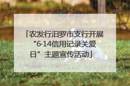 农发行汨罗市支行开展“6·14信用记录关爱日”主题宣传活动