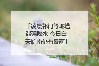 凌晨祁门等地遭遇强降水 今日白天皖南仍有暴雨