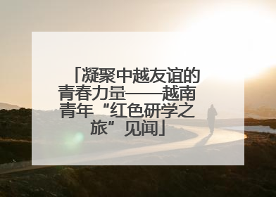 凝聚中越友谊的青春力量——越南青年“红色研学之旅”见闻