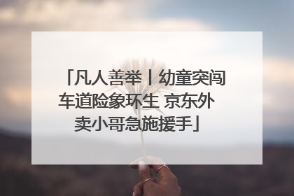 凡人善举丨幼童突闯车道险象环生 京东外卖小哥急施援手