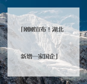 刚刚宣布！湖北新增一家国企