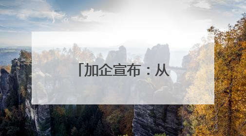 加企宣布：从中国采购4艘