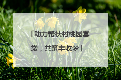 助力帮扶村桃园套袋，共筑丰收梦