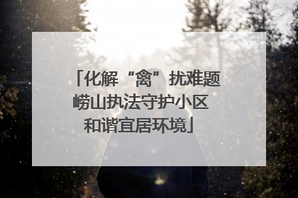 化解“禽”扰难题 崂山执法守护小区和谐宜居环境