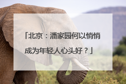 北京：潘家园何以悄悄成为年轻人心头好？