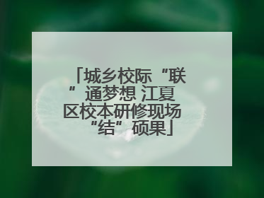 城乡校际“联”通梦想 江夏区校本研修现场“结”硕果