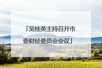吴桂英主持召开市委财经委员会会议