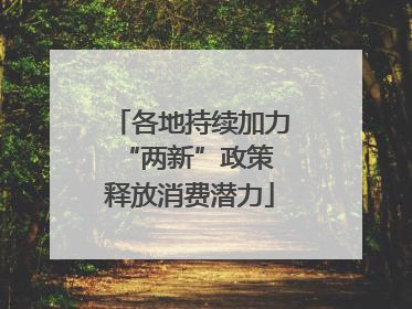 各地持续加力“两新”政策 释放消费潜力