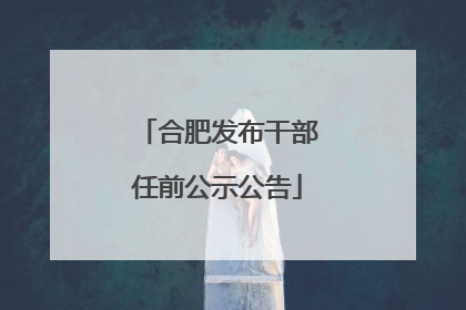 合肥发布干部任前公示公告